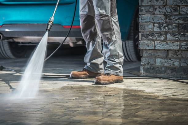 Best Roof Cleaning and Mildew Removal in Worthington, MN